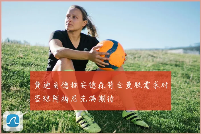 费迪南德称安德森符合曼联需求对签琼阿梅尼充满期待